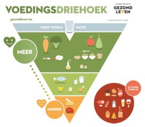 De Voedingsdriehoek Darmgezondheid